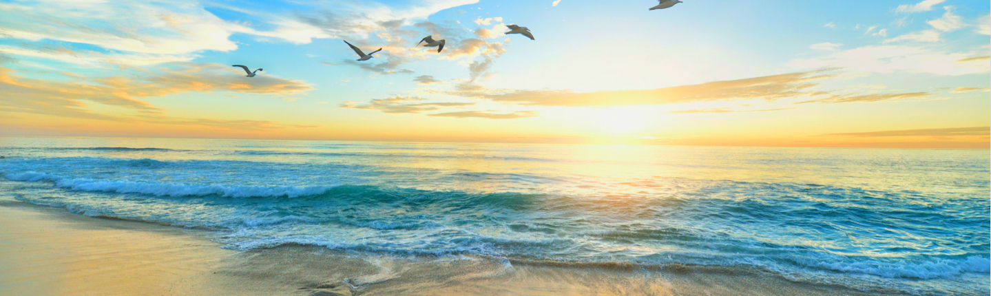 Why-Choose-Us-banner